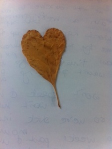 autumn heart leaf